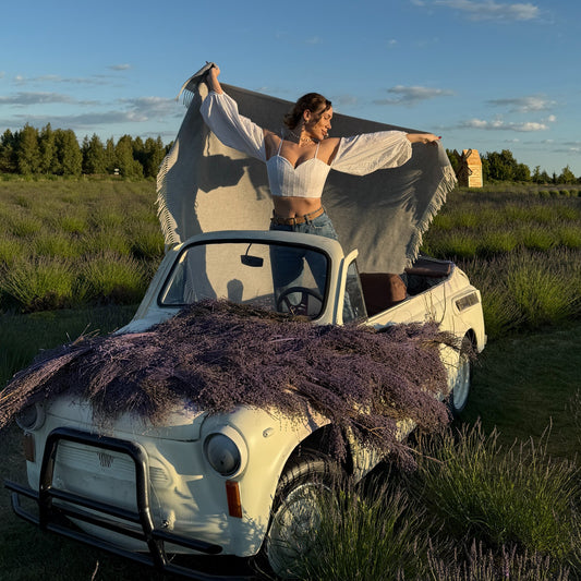 31647f6d26e10f1386fc13c217b9553b