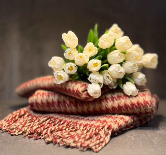 0a88c9ed2a8e76a7d86ca71ccee85864