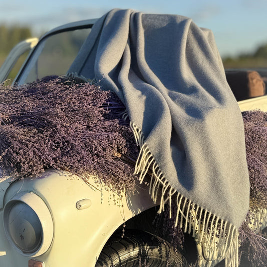 d0deba61e7803ffbc291c53a8ce5799c