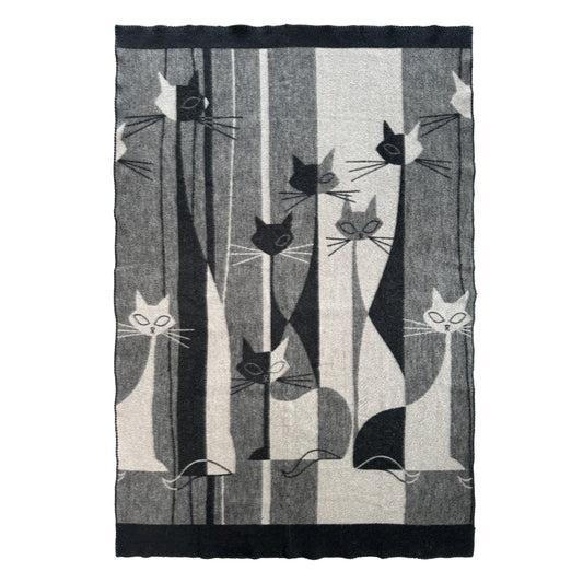 2204b9dd86268a8732416e69350ee969