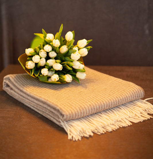 86f3df3e10a3de9d103729c75104b509