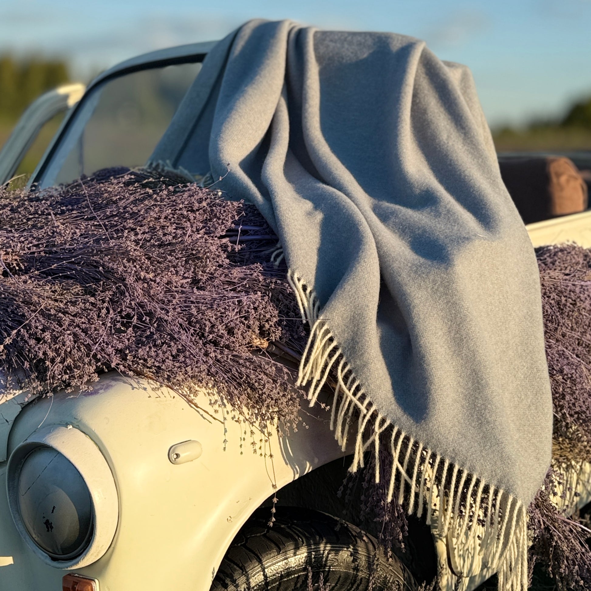 70d52d5291353d08ce97fe02e347e20f