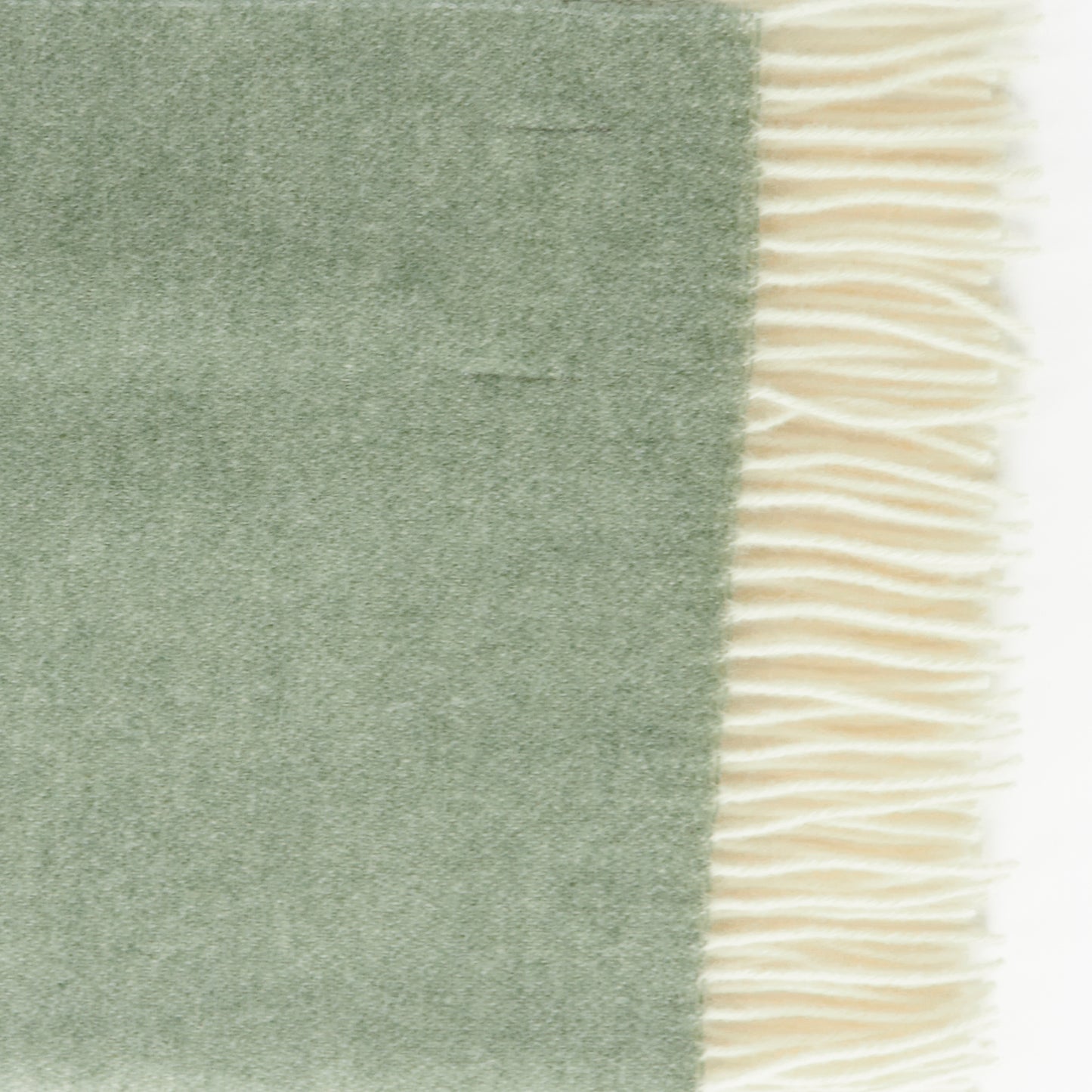 1d47f84e7b2d87102e0194fe41565118