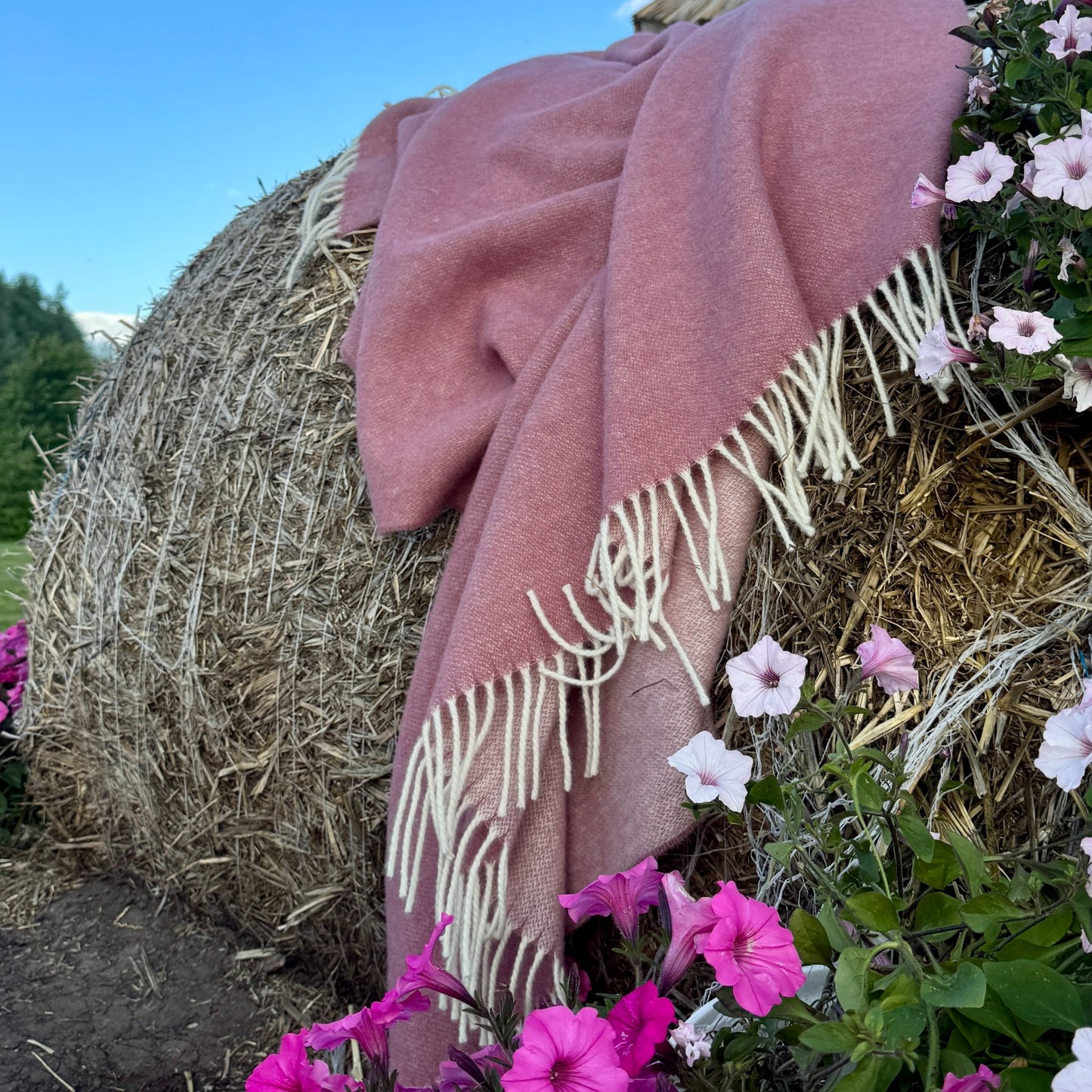 a1dff2374f21f1edb6f2307150f91f9f