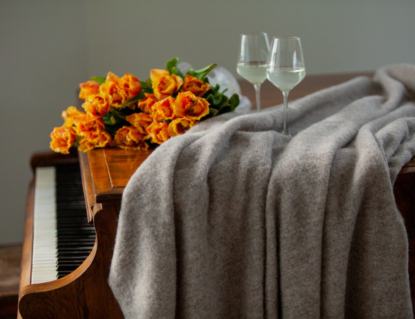 ca222ddcab17ebe1c8c4031415801213