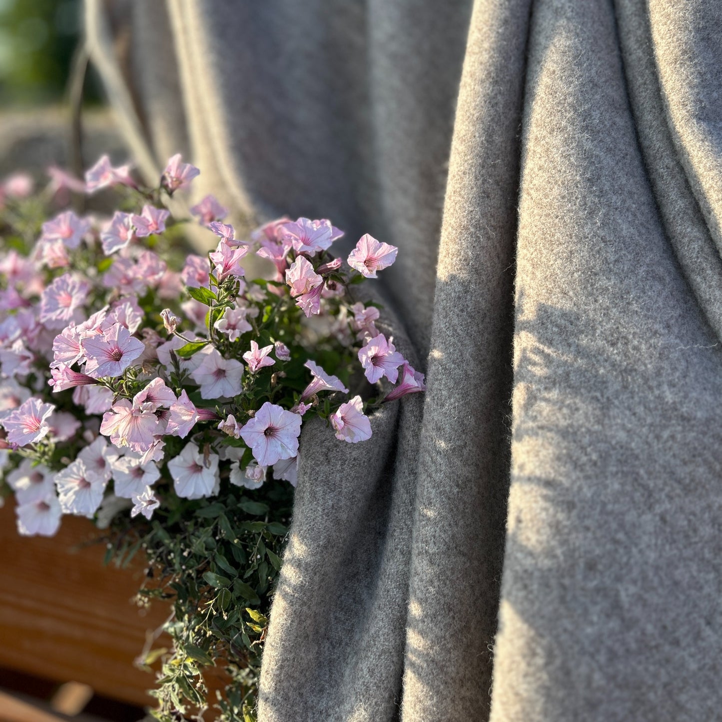 a0728b2cea8ae9cc8fb85dd88a551e76