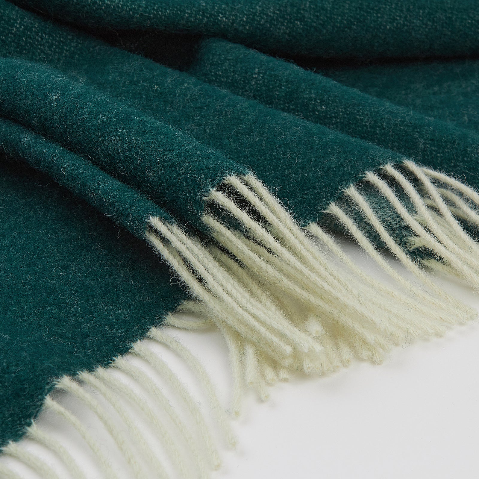 19ba713a72694a8c7c3cadfbe9e4fba6