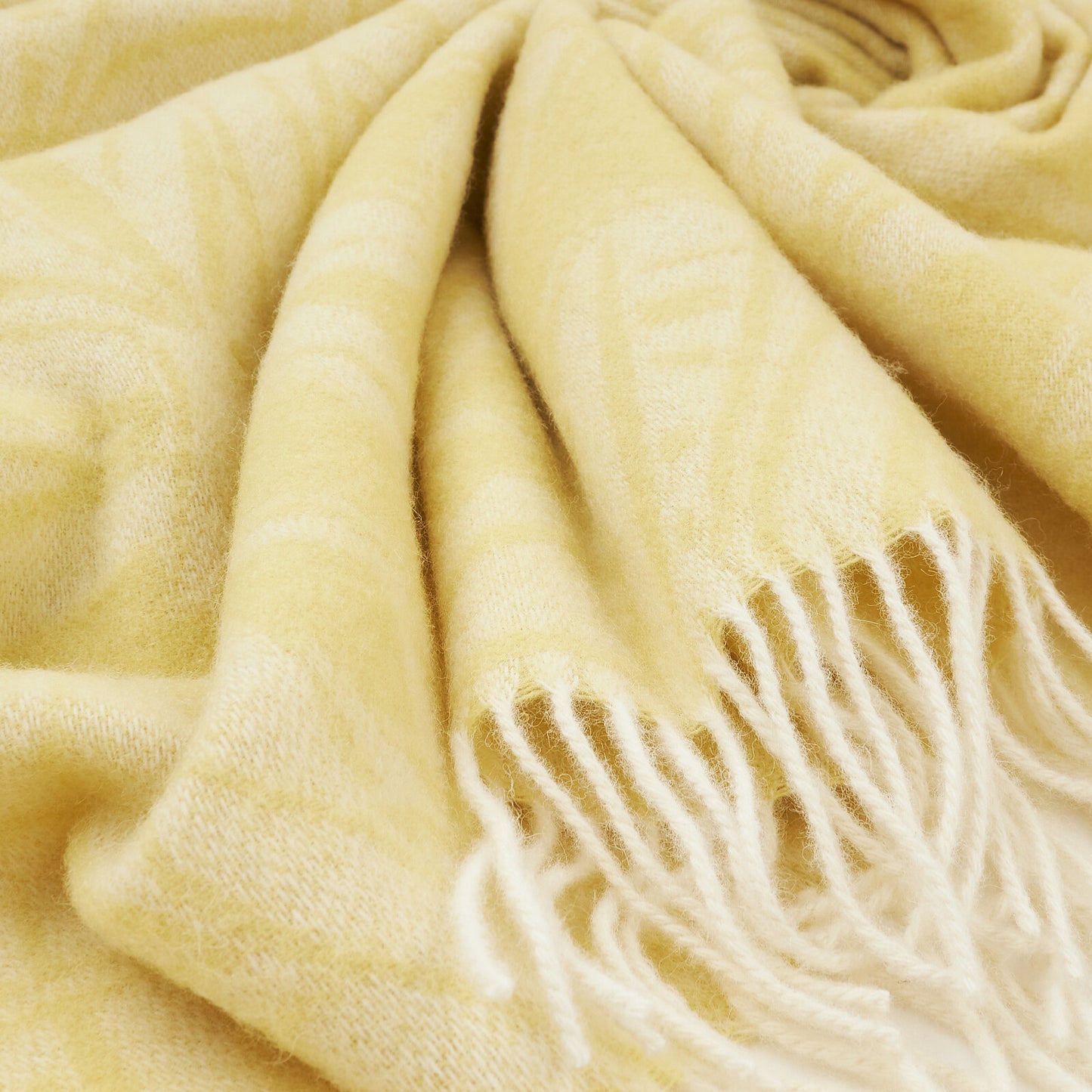 8a813099fc711d5fcd507d18f32d6400