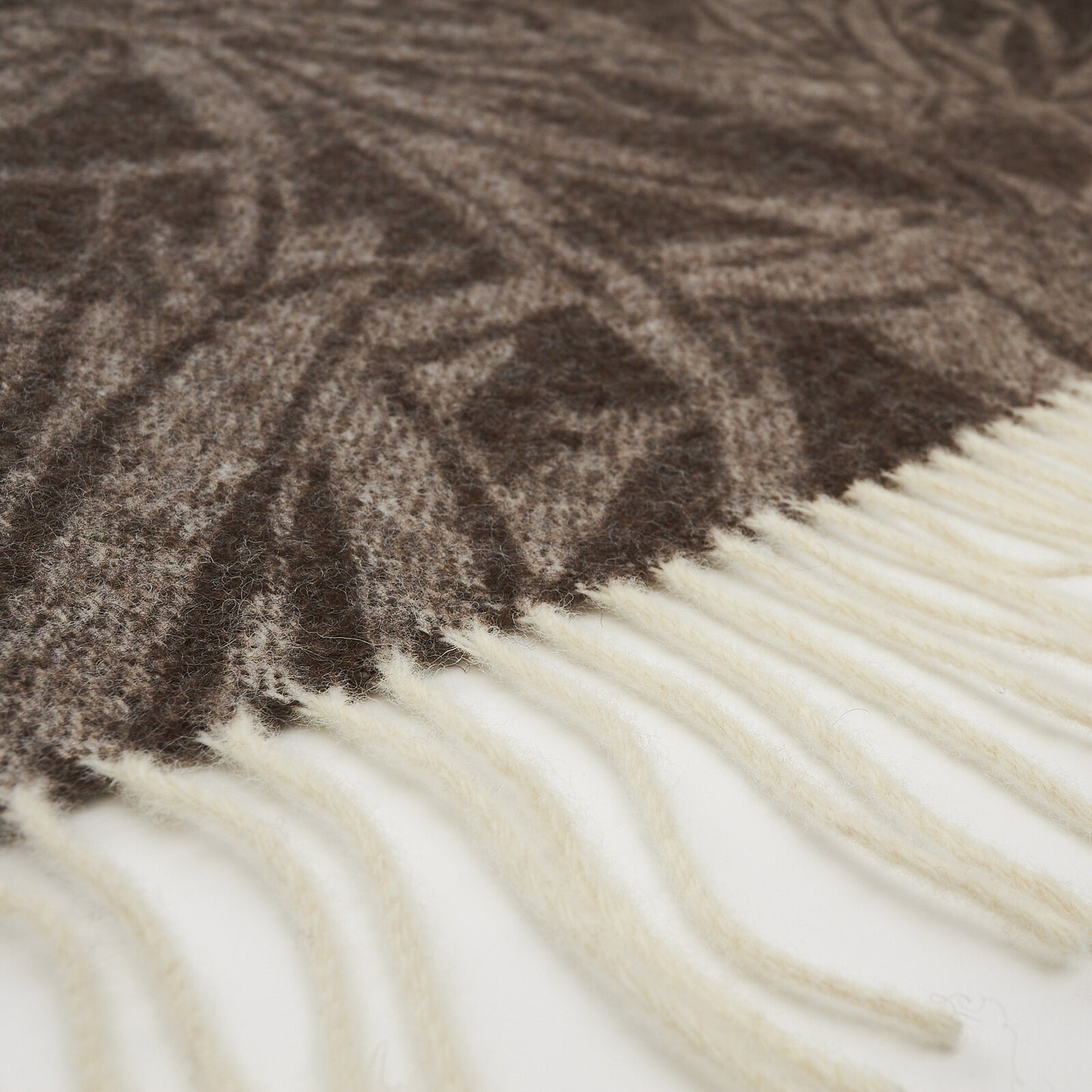 19b9e3eb57523306fb4c33434cb796ae