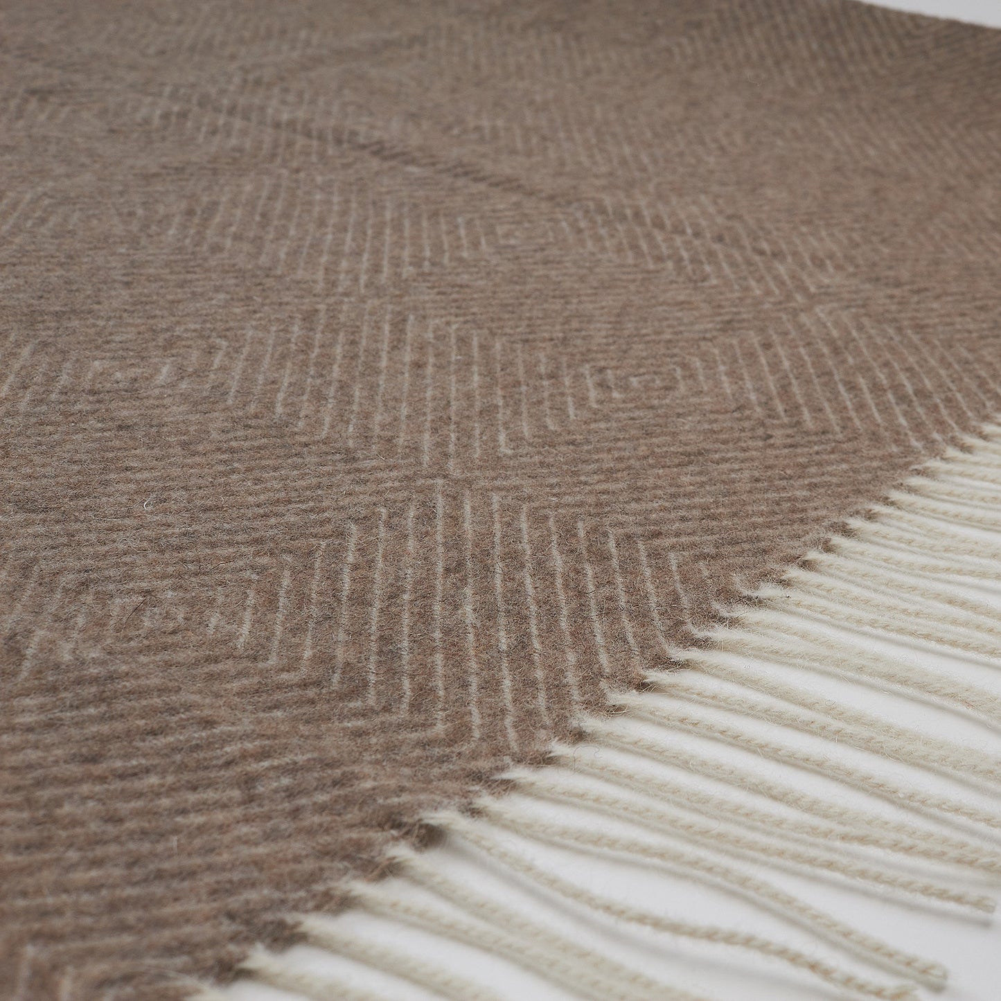 92a339329ea4f3e1f0479c4fb1e78b87