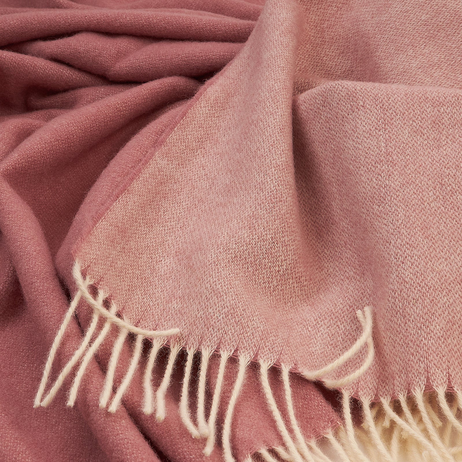 0c171faa285cab0b9faa2a157f7f51d2