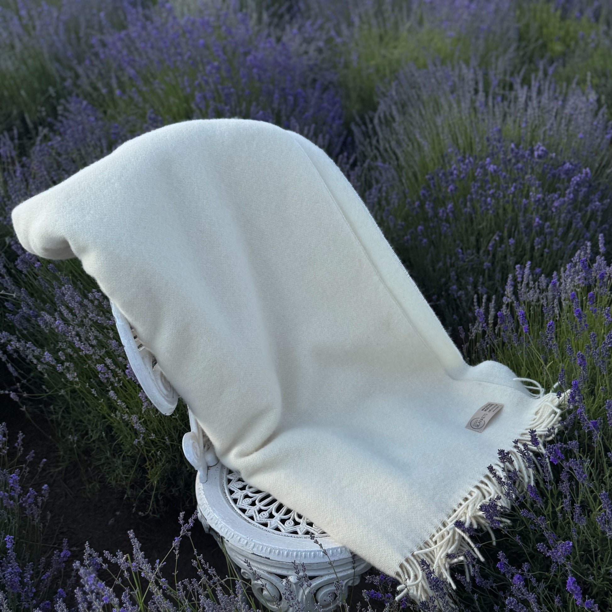 85f02fd34ee927651cc55c975b5b56c3