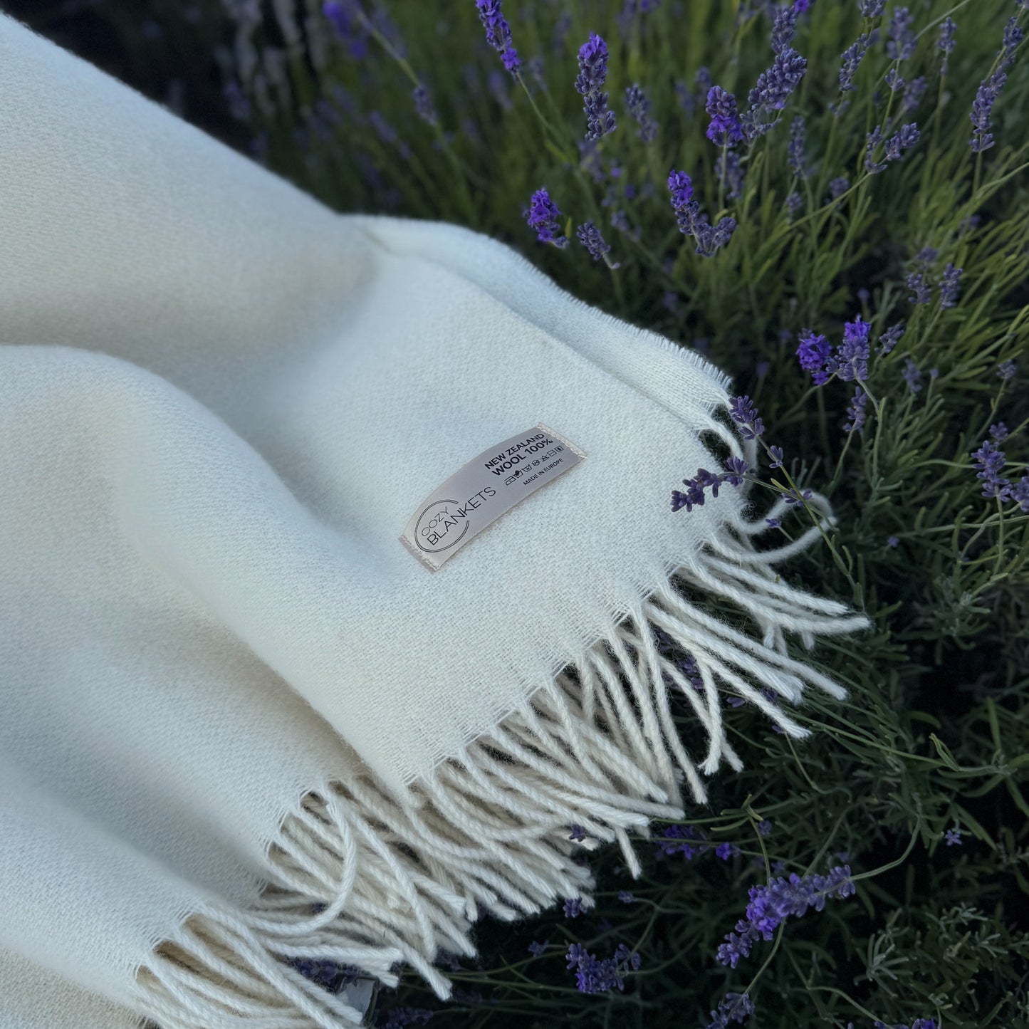 3e042420330ca266e30465c186585fd0