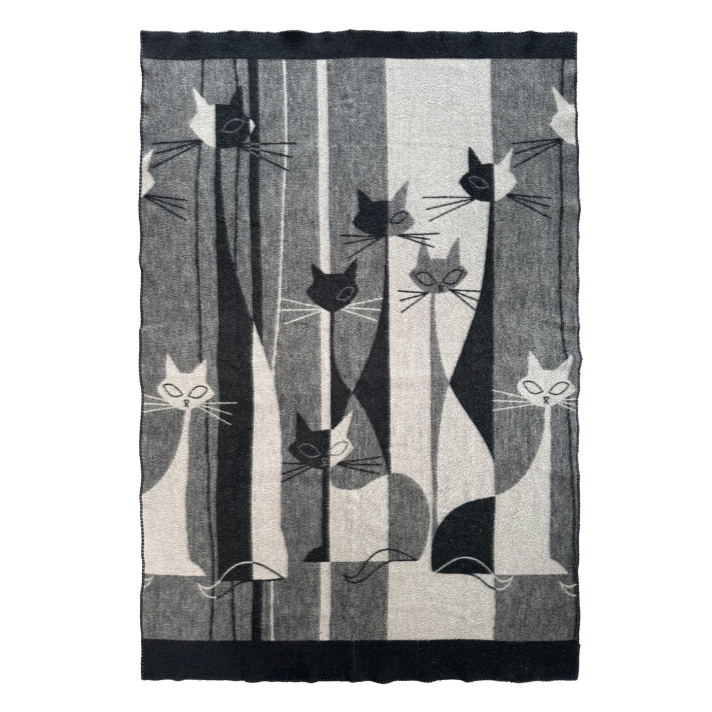 2204b9dd86268a8732416e69350ee969