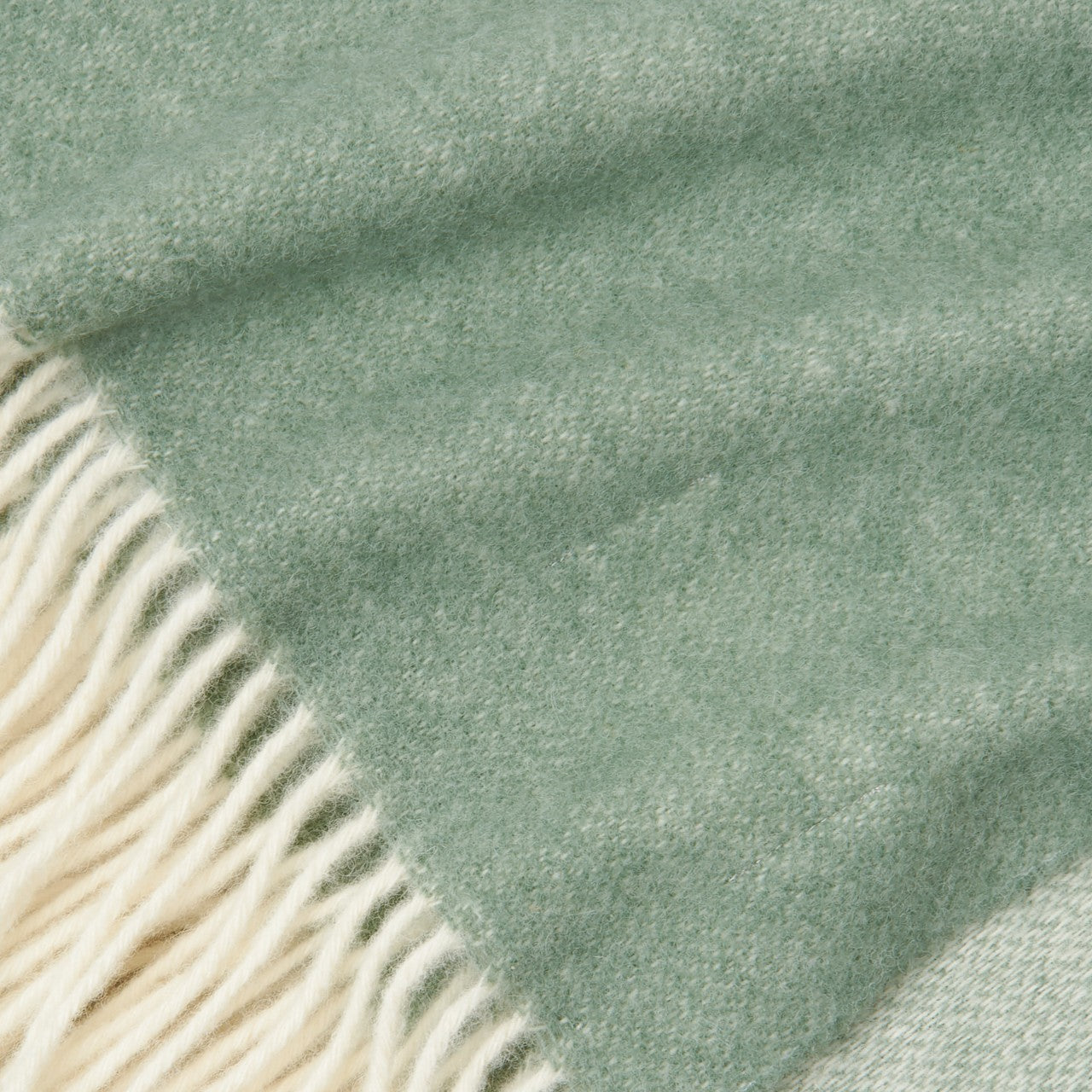 8a2f196b285a2d9a5fe738f8e954bfdc